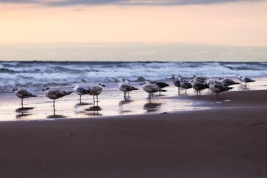 ZeeZonZand Koksijde Buitenkant foto